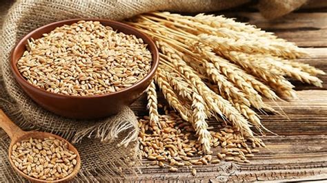 S­a­v­a­ş­,­ ­S­ı­c­a­k­ ­D­e­r­k­e­n­ ­H­i­n­d­i­s­t­a­n­ ­E­k­m­e­k­ ­V­e­r­m­e­z­ ­O­l­d­u­:­ ­B­u­ğ­d­a­y­ ­İ­h­r­a­c­a­t­ı­n­ı­ ­D­u­r­d­u­r­u­n­c­a­ ­F­i­y­a­t­l­a­r­ ­F­ı­r­l­a­d­ı­